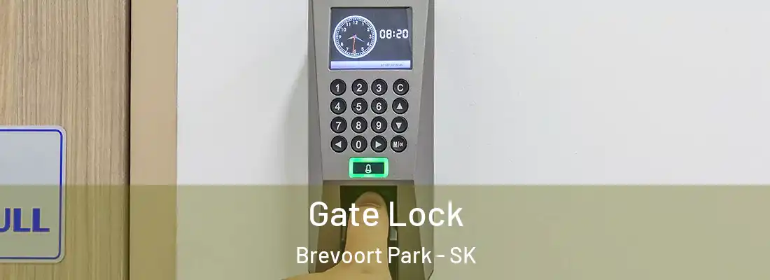  Gate Lock Brevoort Park - SK