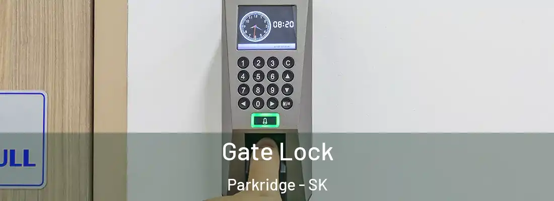  Gate Lock Parkridge - SK