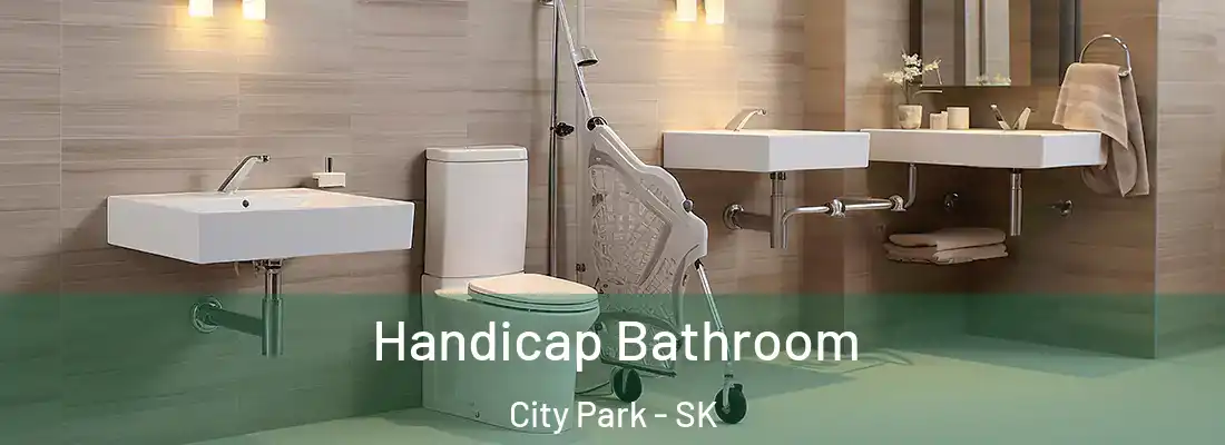 Handicap Bathroom City Park - SK