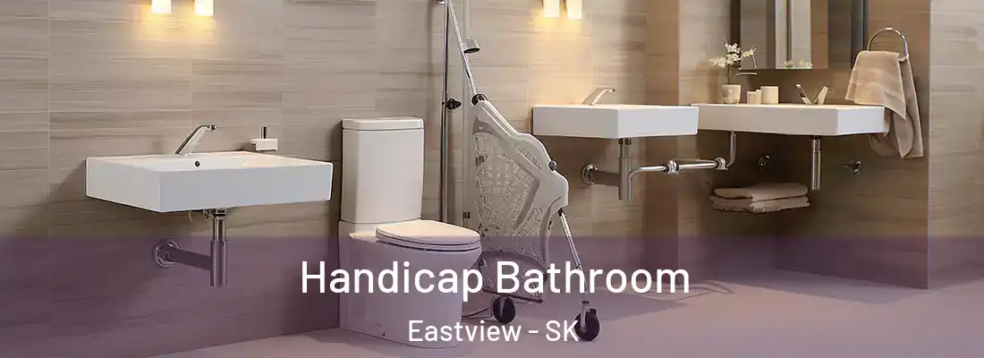  Handicap Bathroom Eastview - SK