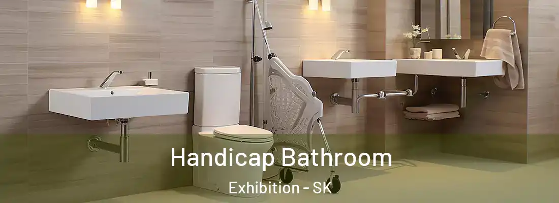  Handicap Bathroom Exhibition - SK