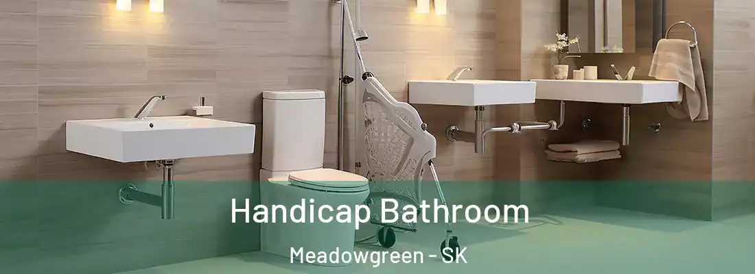  Handicap Bathroom Meadowgreen - SK