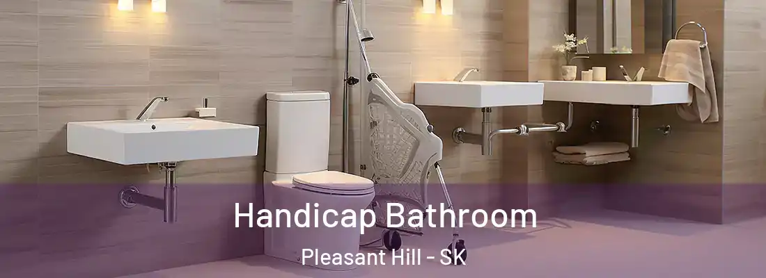  Handicap Bathroom Pleasant Hill - SK