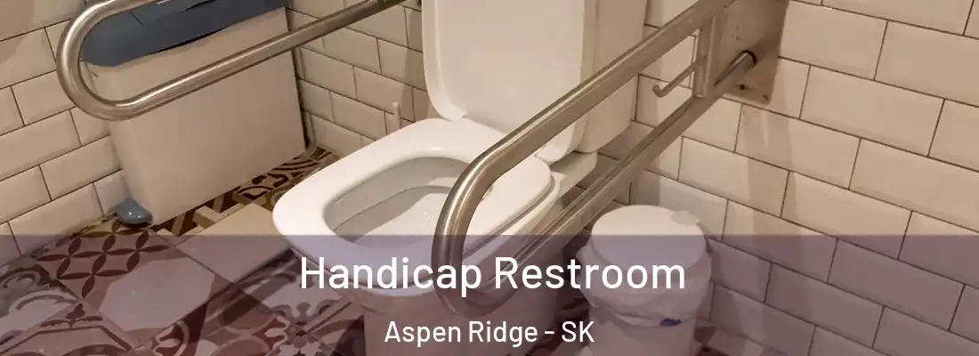  Handicap Restroom Aspen Ridge - SK