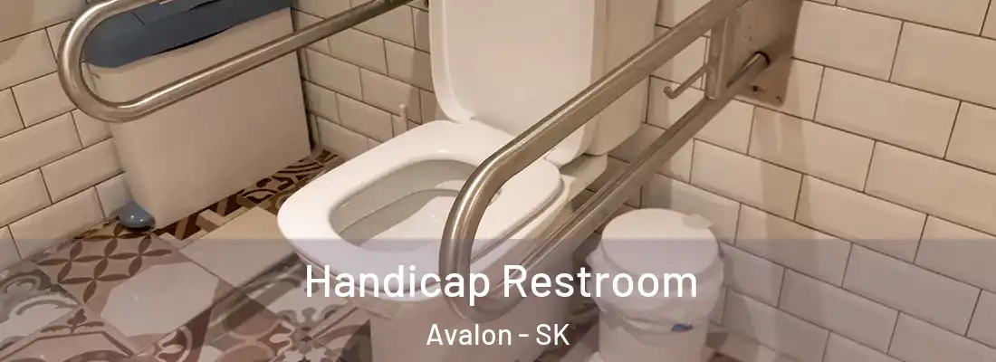  Handicap Restroom Avalon - SK