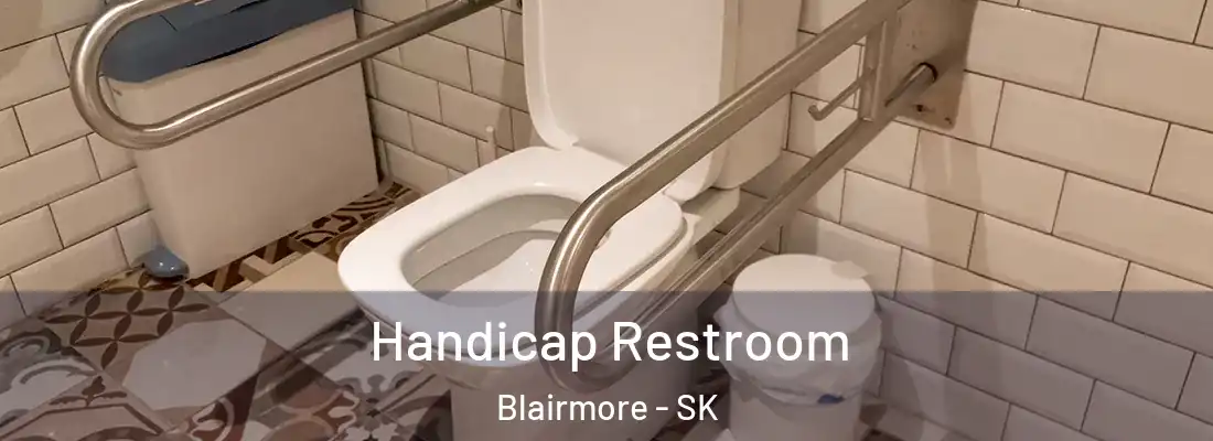  Handicap Restroom Blairmore - SK