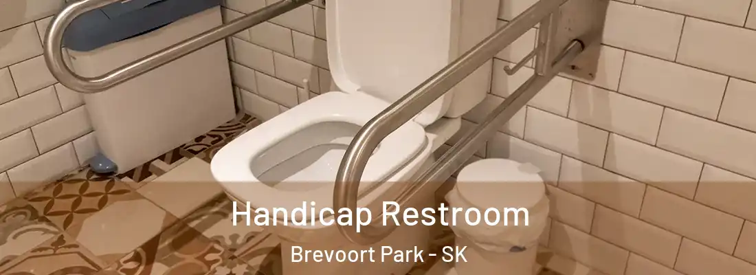  Handicap Restroom Brevoort Park - SK