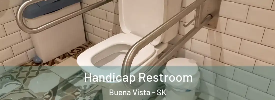  Handicap Restroom Buena Vista - SK