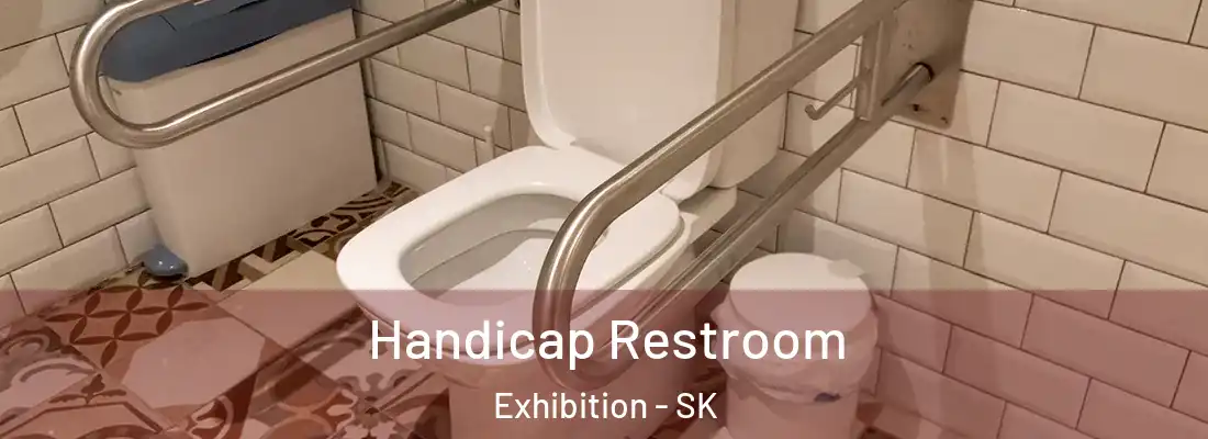  Handicap Restroom Exhibition - SK