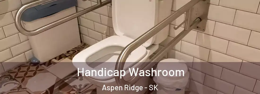  Handicap Washroom Aspen Ridge - SK
