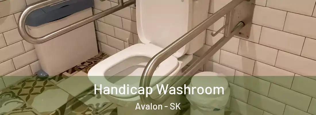  Handicap Washroom Avalon - SK
