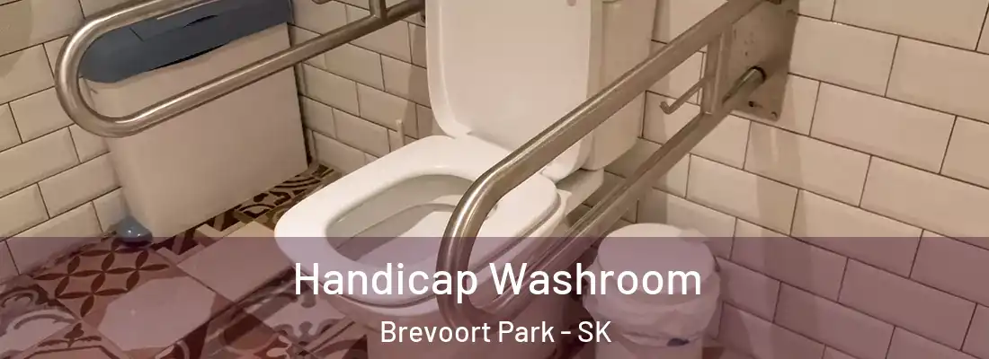  Handicap Washroom Brevoort Park - SK