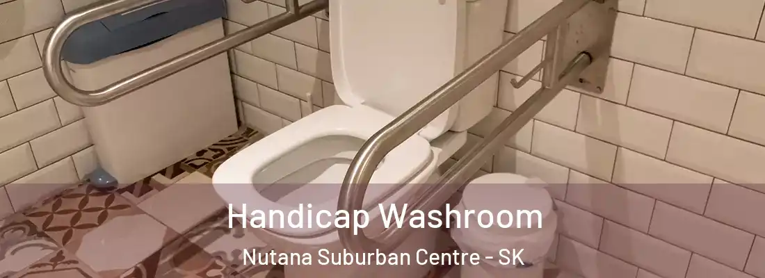  Handicap Washroom Nutana Suburban Centre - SK