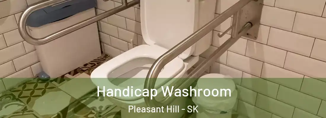  Handicap Washroom Pleasant Hill - SK