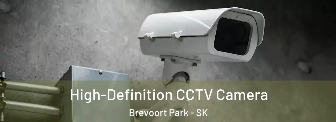 High-Definition CCTV Camera Brevoort Park - SK
