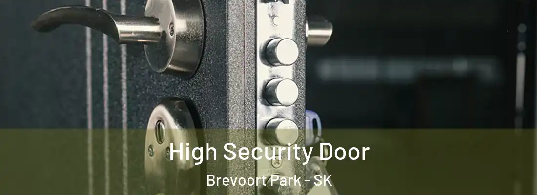  High Security Door Brevoort Park - SK