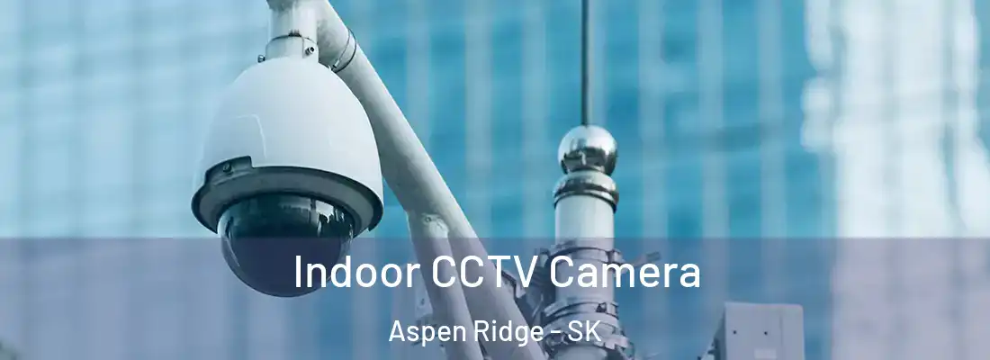  Indoor CCTV Camera Aspen Ridge - SK