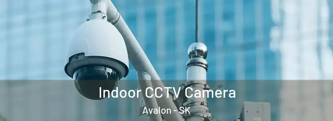  Indoor CCTV Camera Avalon - SK