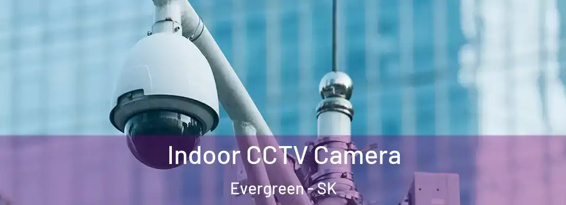  Indoor CCTV Camera Evergreen - SK