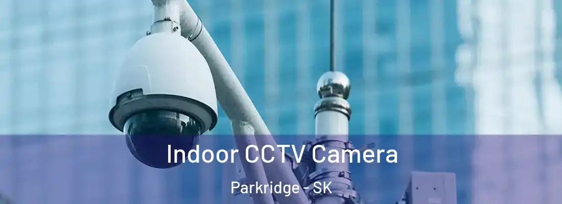  Indoor CCTV Camera Parkridge - SK