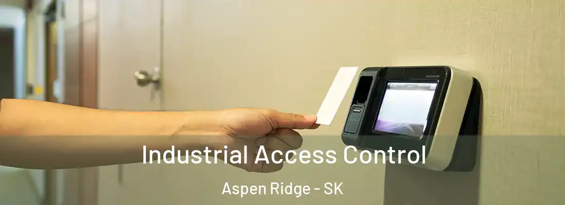  Industrial Access Control Aspen Ridge - SK