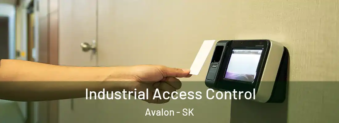  Industrial Access Control Avalon - SK