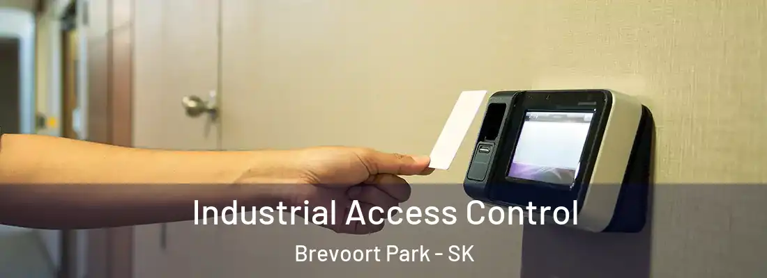  Industrial Access Control Brevoort Park - SK