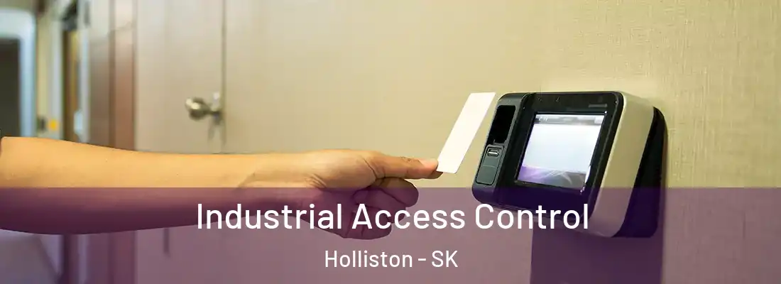  Industrial Access Control Holliston - SK
