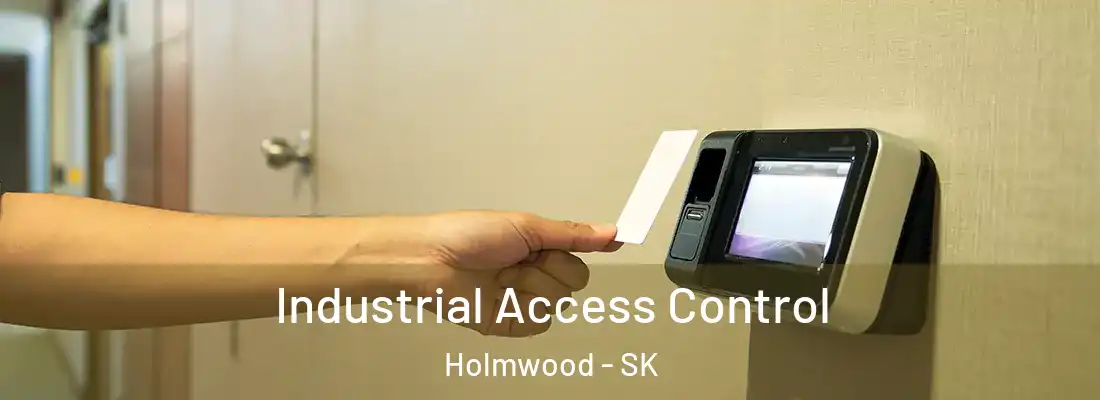  Industrial Access Control Holmwood - SK