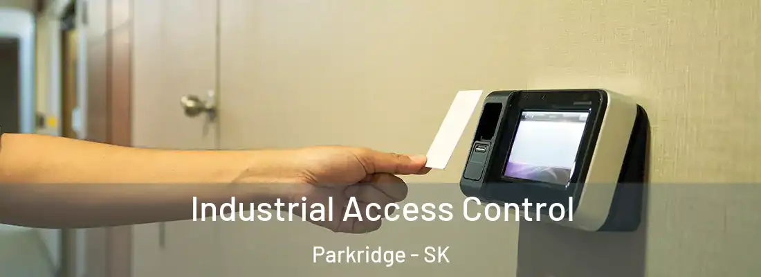  Industrial Access Control Parkridge - SK