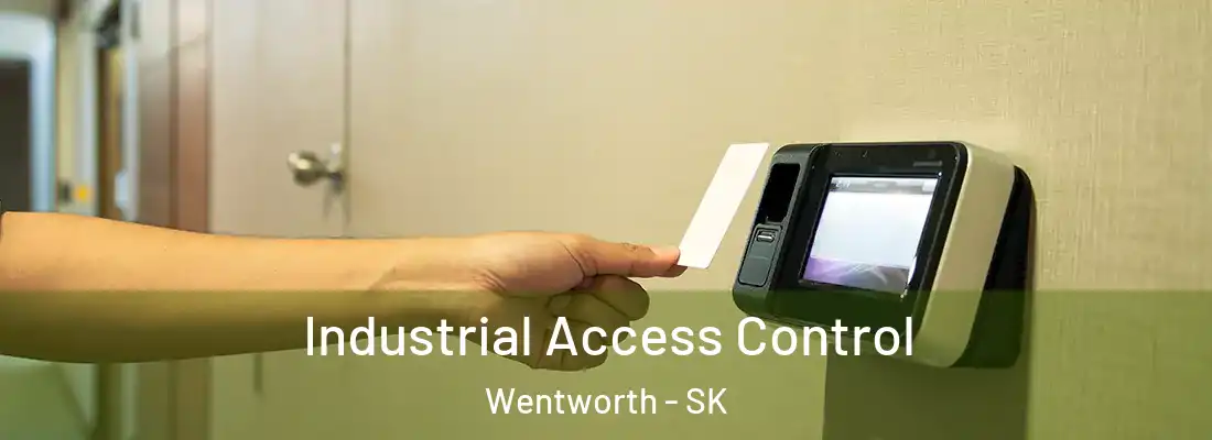  Industrial Access Control Wentworth - SK