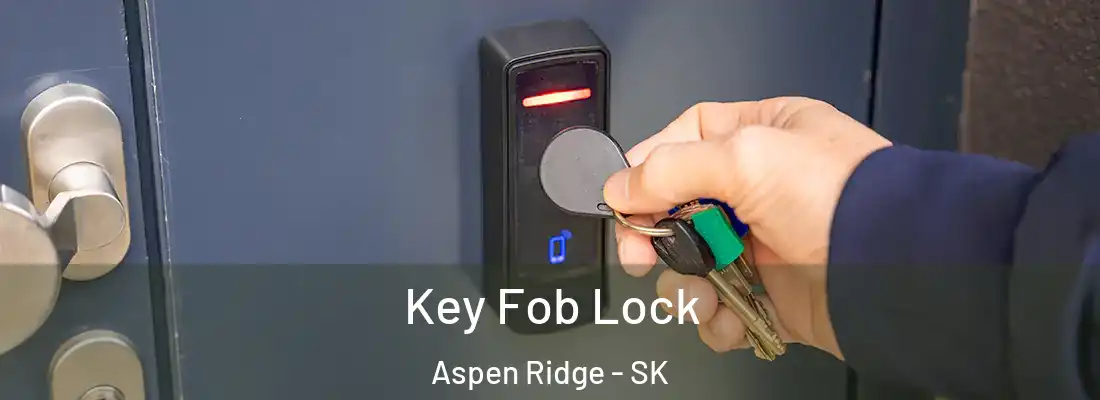  Key Fob Lock Aspen Ridge - SK