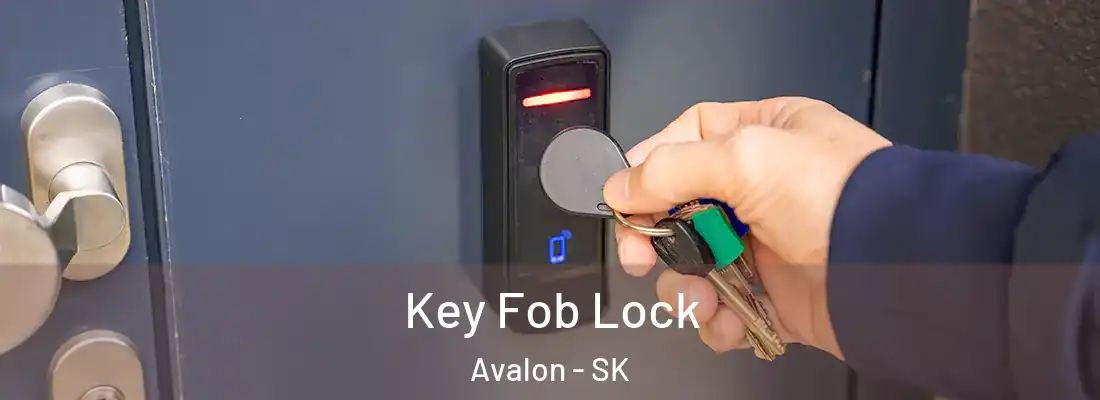  Key Fob Lock Avalon - SK