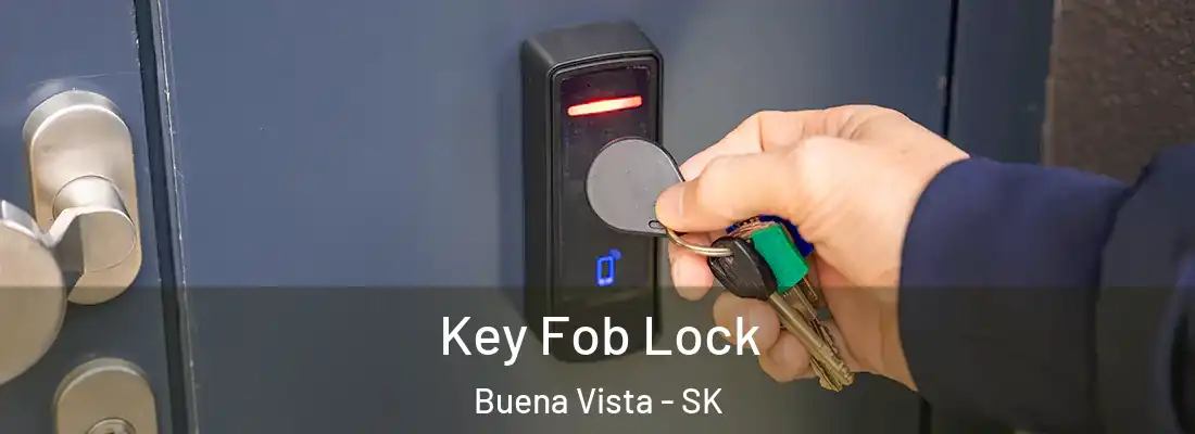  Key Fob Lock Buena Vista - SK