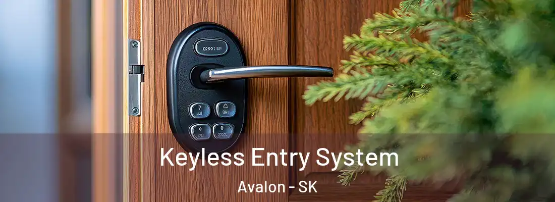  Keyless Entry System Avalon - SK