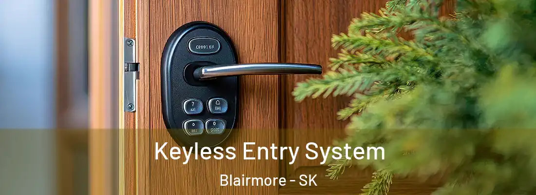  Keyless Entry System Blairmore - SK