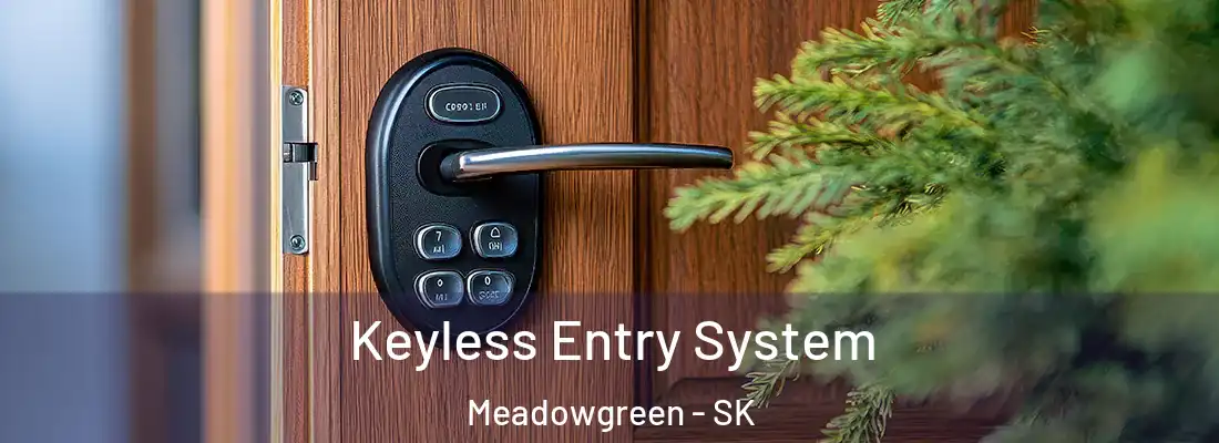  Keyless Entry System Meadowgreen - SK