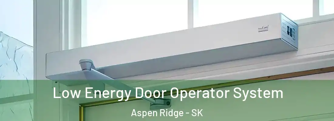  Low Energy Door Operator System Aspen Ridge - SK