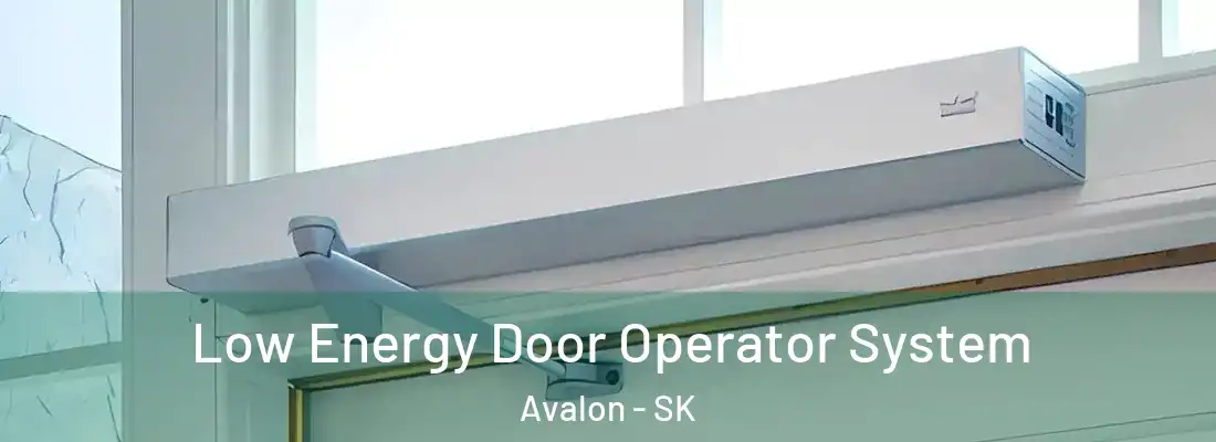  Low Energy Door Operator System Avalon - SK