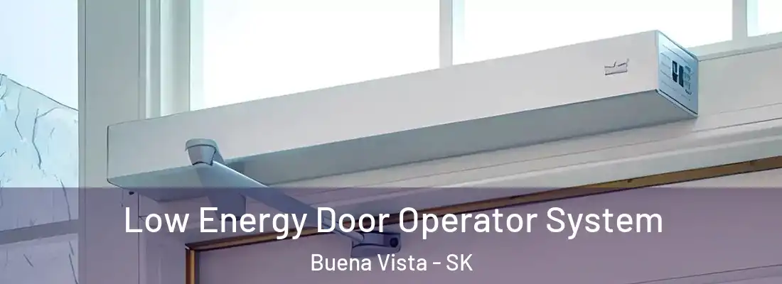  Low Energy Door Operator System Buena Vista - SK