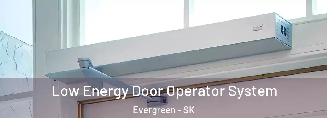  Low Energy Door Operator System Evergreen - SK