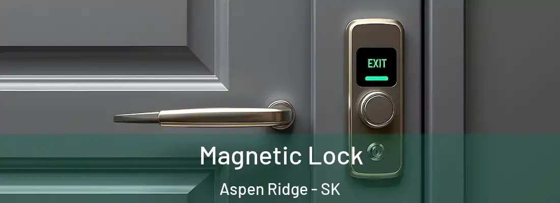  Magnetic Lock Aspen Ridge - SK