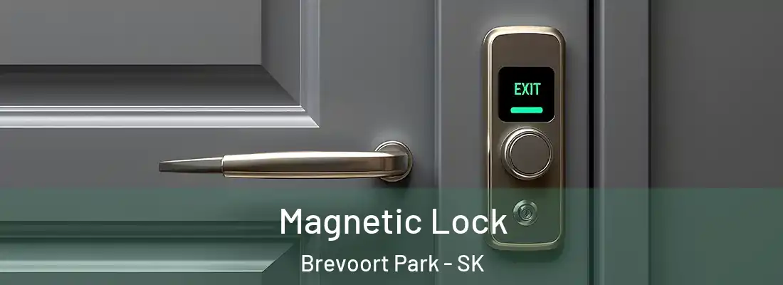  Magnetic Lock Brevoort Park - SK