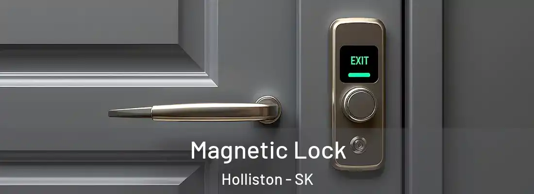  Magnetic Lock Holliston - SK