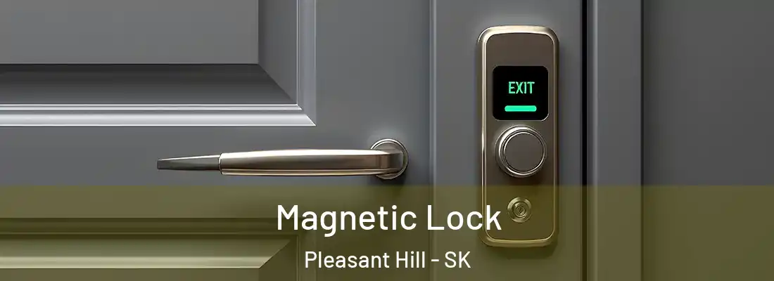  Magnetic Lock Pleasant Hill - SK