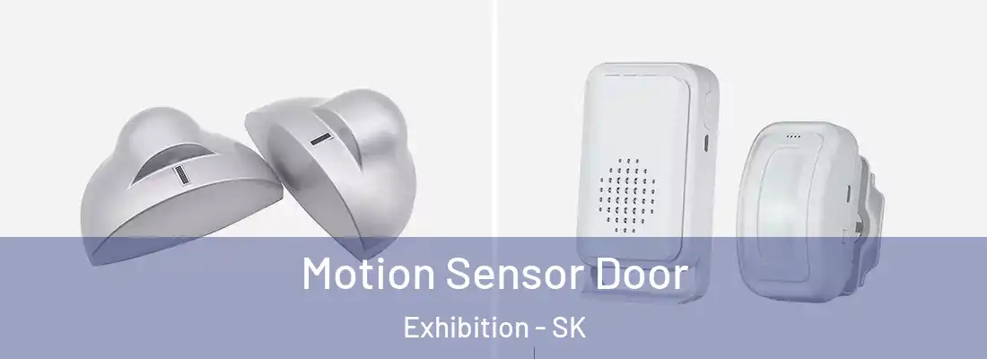  Motion Sensor Door Exhibition - SK