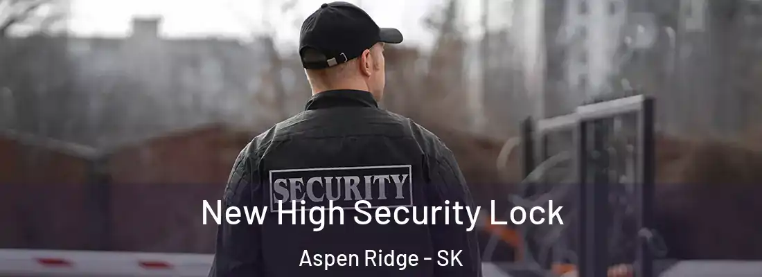  New High Security Lock Aspen Ridge - SK