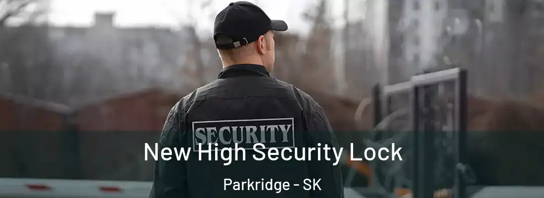  New High Security Lock Parkridge - SK