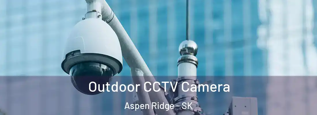  Outdoor CCTV Camera Aspen Ridge - SK