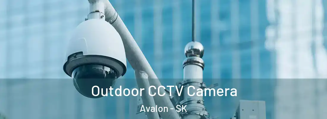  Outdoor CCTV Camera Avalon - SK